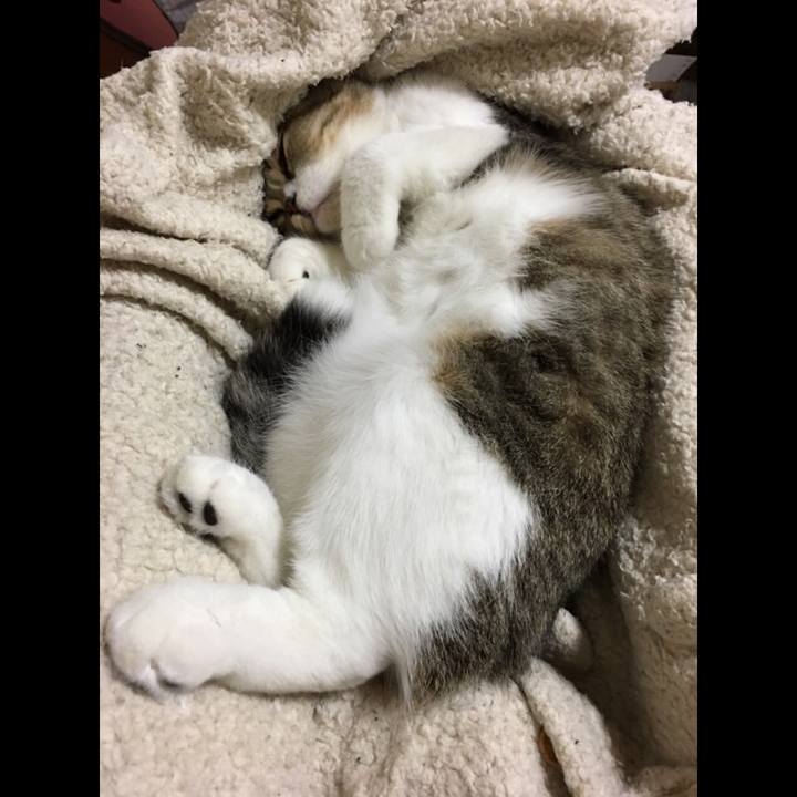 82b81495 6654 44d5 9fce 82ec9a5884ce