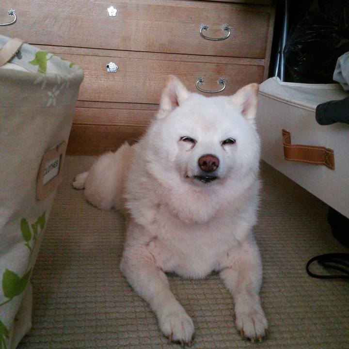 82b8976a d027 4e1f afc3 fbf61bb8476a