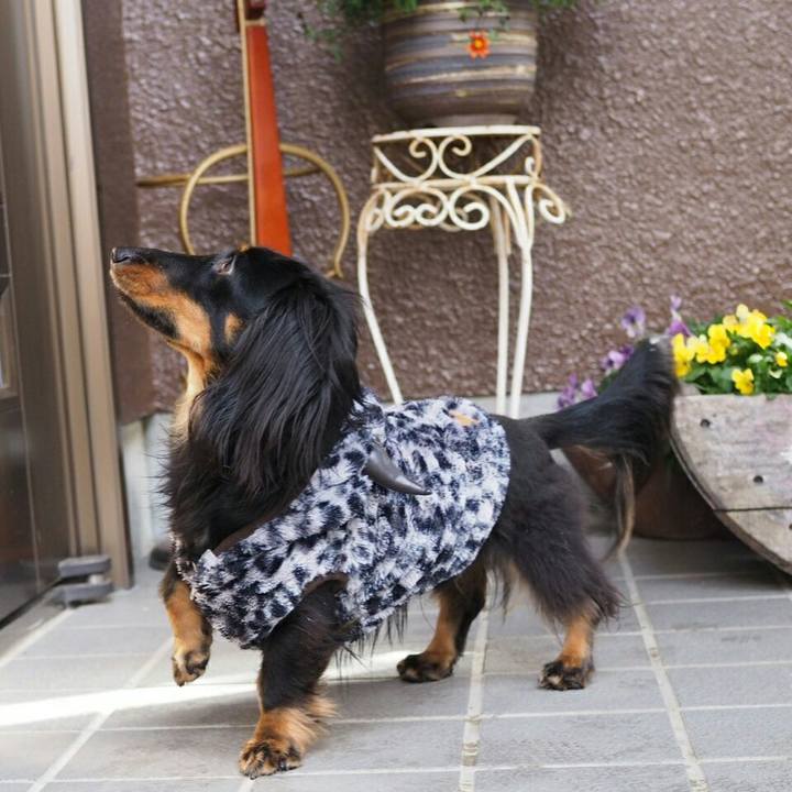 82b8dacd 36d6 4321 9f99 039875d0ee0b