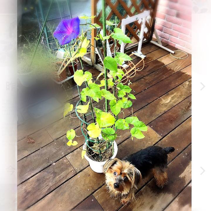 82b950e3 d3fa 4e14 8ac8 261ffe22c757