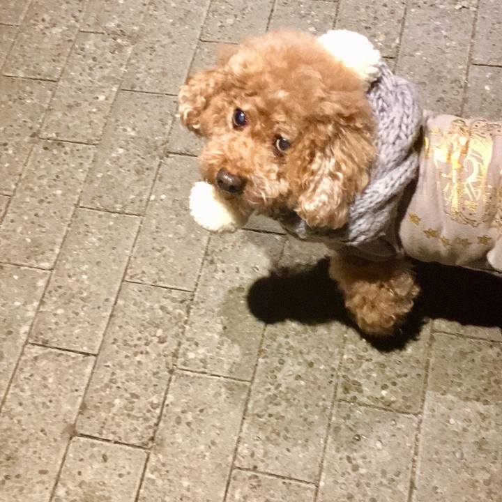 82b99a20 4b14 4717 ad62 734fa8a8a288