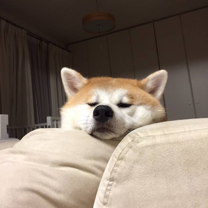 82ba852b 324f 474f 9051 139b963d6464