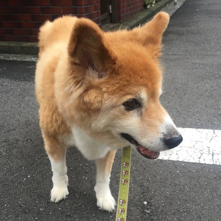 82baa26e c66f 430b 8fd3 f26b87c20bc3