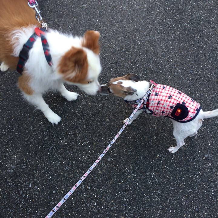 82bae76a 8b2a 48ec 8daa c47cb8afa13a