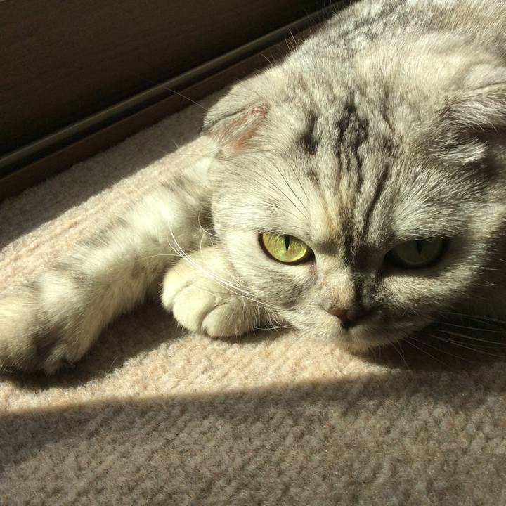 82bb61d7 8ee7 431a ae59 2a81299c6a28