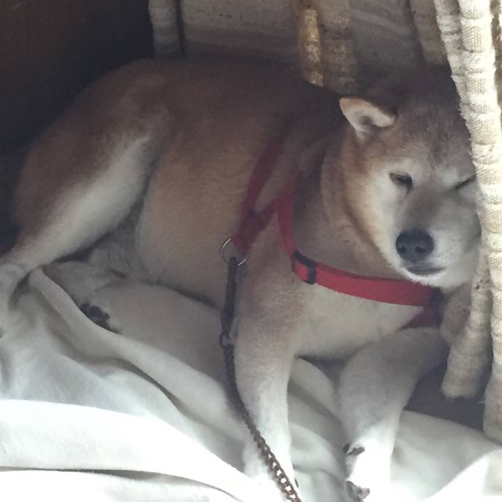 82bba0e2 adf6 42eb bb93 5382a4665e9b