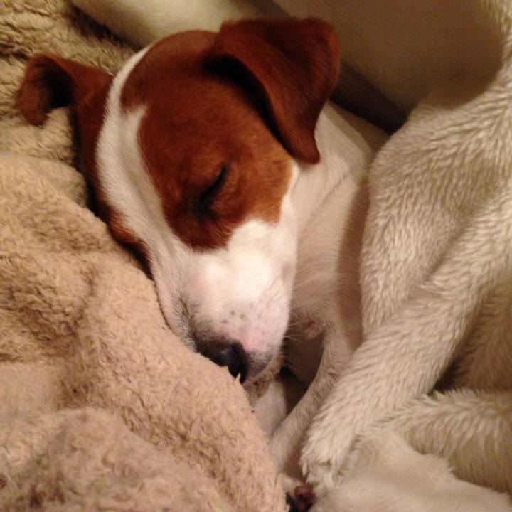 82bbee44 314d 4304 9a08 948e4829135e