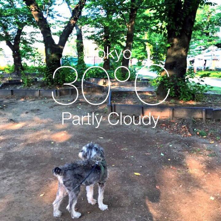 82bc778c c5ba 4f1a a52c b49cb0540227