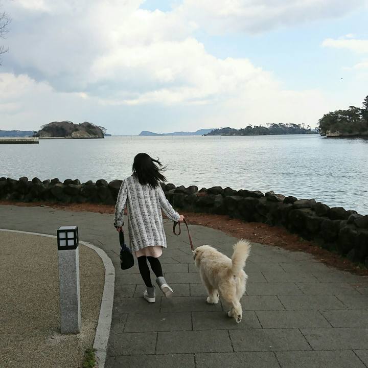 82bd0180 2a21 4dce b884 c86cc6ef721c