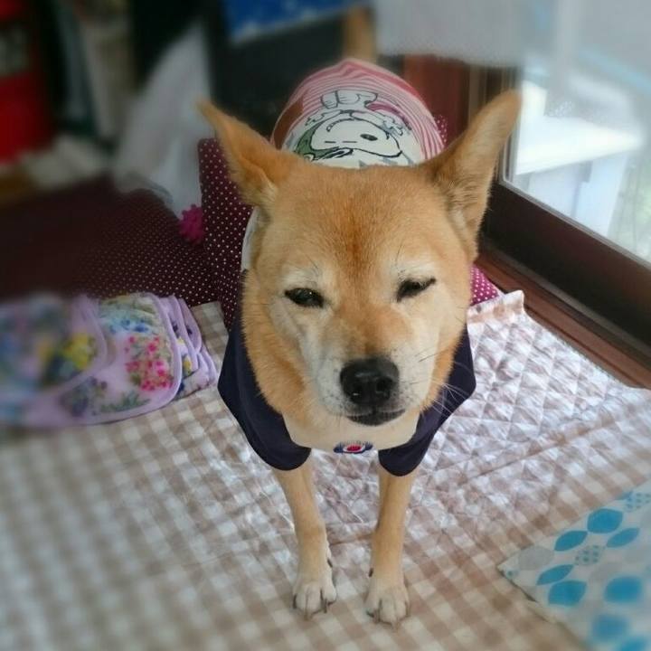 82bd3f38 7b60 4e27 b9c3 1cc99c5402ed