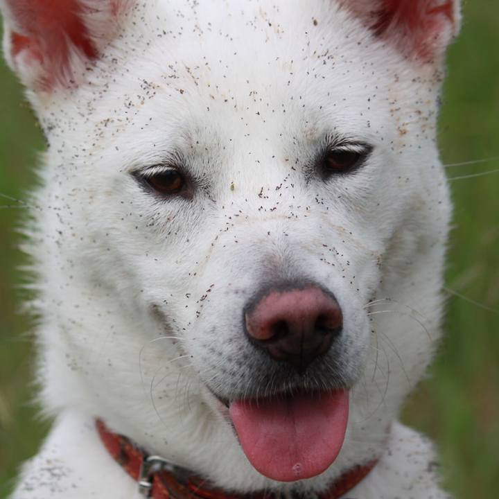 82bd70f5 5c84 491b 956c 0ff0a758c52a