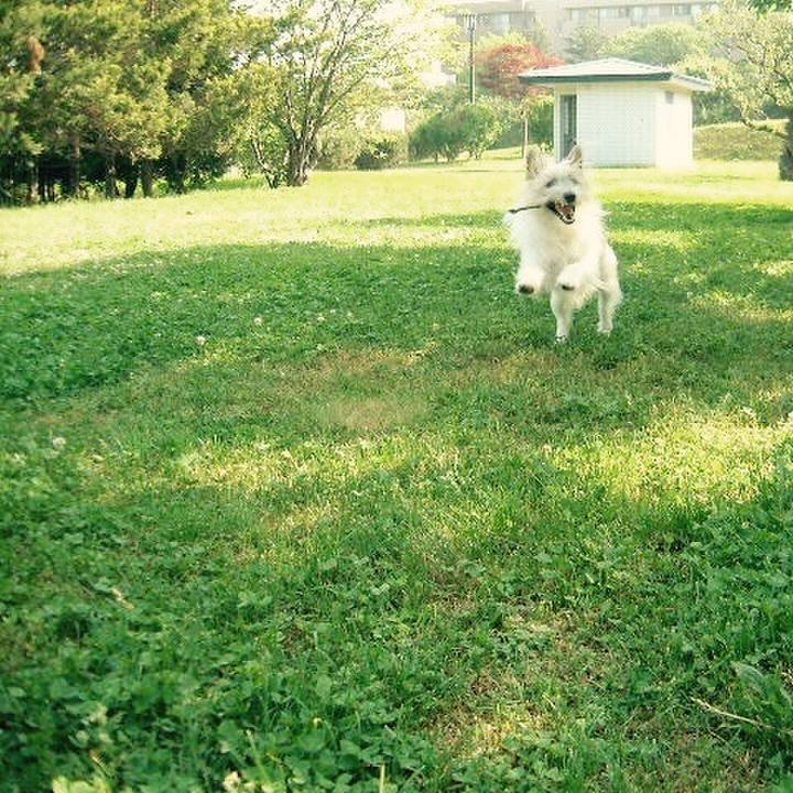 82bd7623 51e7 401b 9c6a aba25c232cac