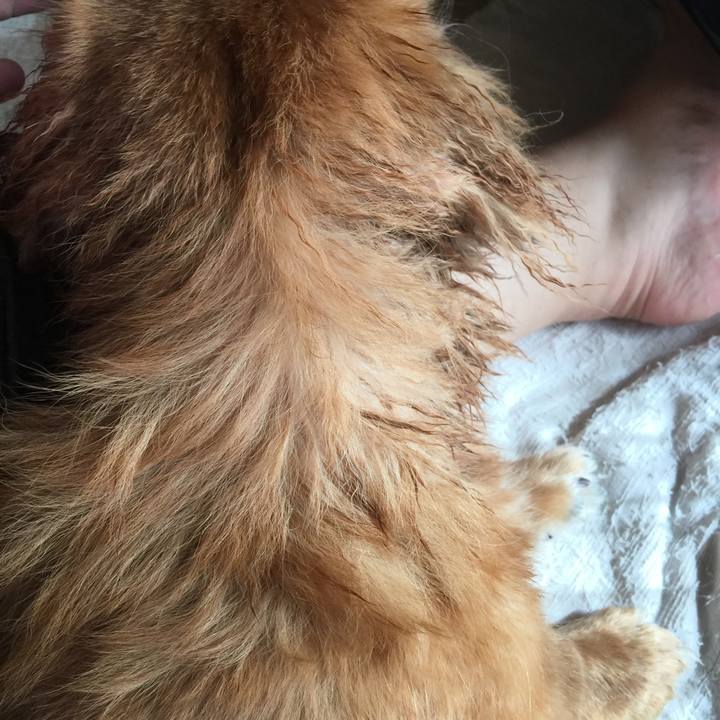 82bd7fe0 489e 4174 8e16 298b28835d11