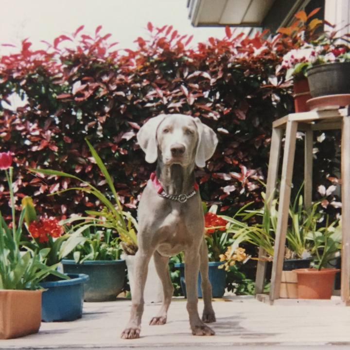 82bedd15 99f5 43de add3 e335aaae8889