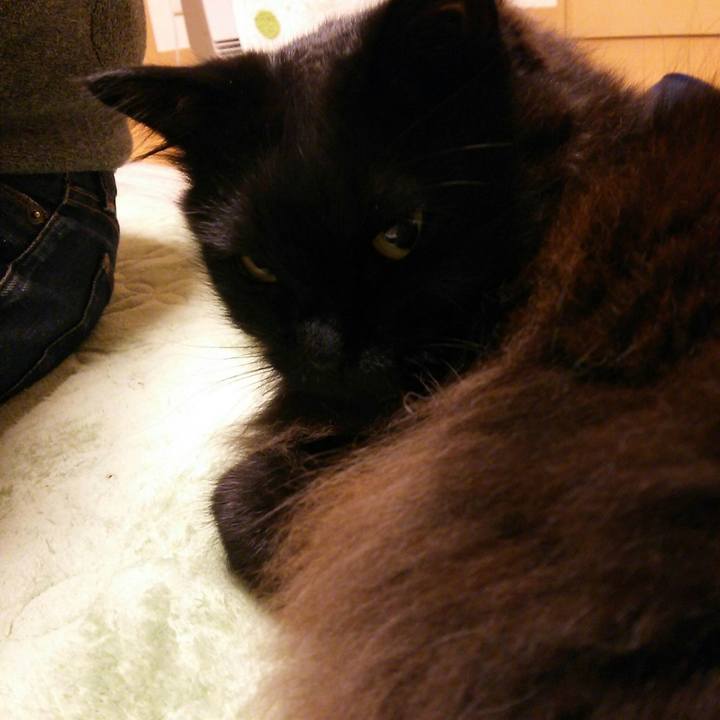 82bf55e4 1084 4bf4 a0cc 88b704a3c161