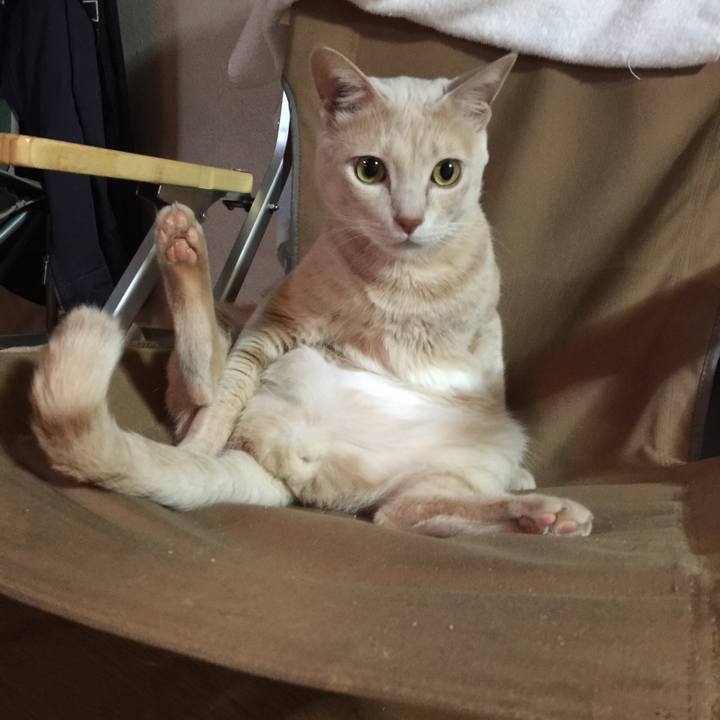 82bf5603 41f2 43cd 8f67 c036bcc775e2