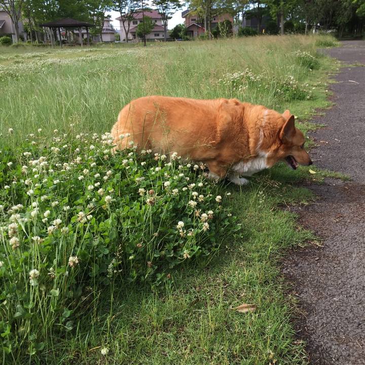 82bf9718 8d8f 47bf afa9 9f6b2c248fa1