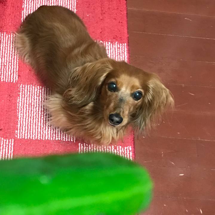 82bfb571 464c 4661 b303 0149f9efec0a