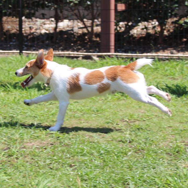 82bff3ad 8ac6 46d6 8843 c4368c1815a5