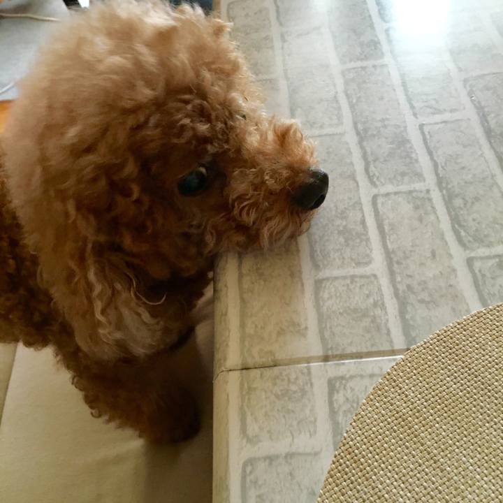 82c027a5 3ee4 4909 9504 d67a28db36fb