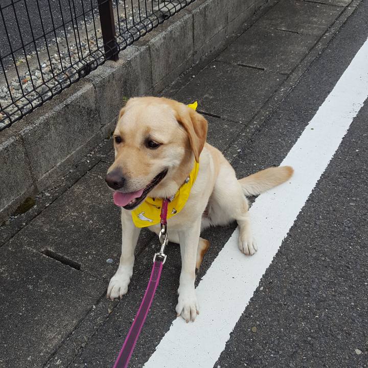 82c0eefe a709 439c bdc6 362c8e069472