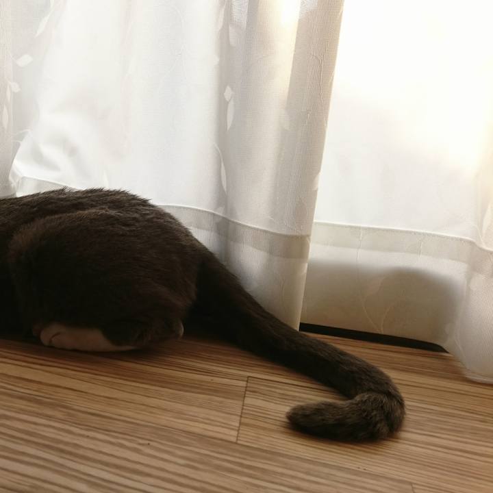 82c14c51 afb9 4269 9a80 16fb248e888d