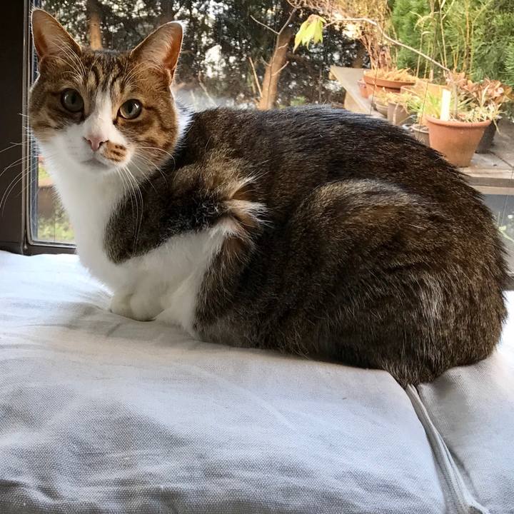 82c1935d a10d 4115 907c 384dca8092cf