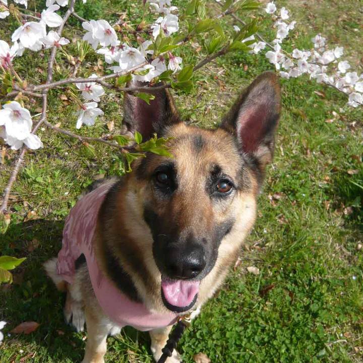 82c1e201 50a8 4aa7 b024 c2b036aabbe8