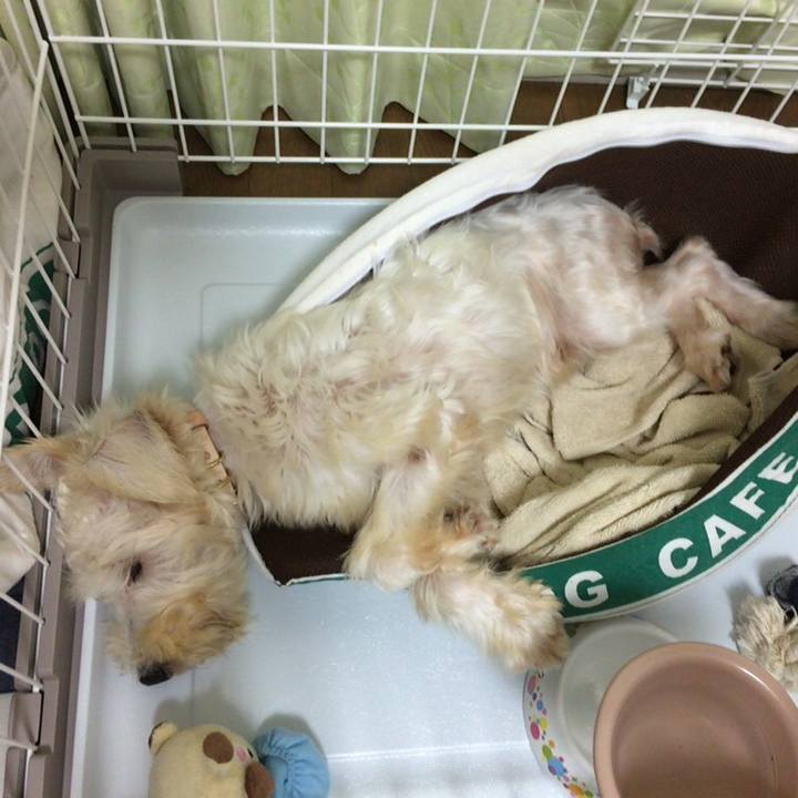 82c23d68 804b 4281 a11b 7fae35552d08