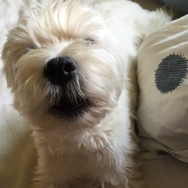 82c2d626 c59d 47b7 8f32 23784c0cf1c7