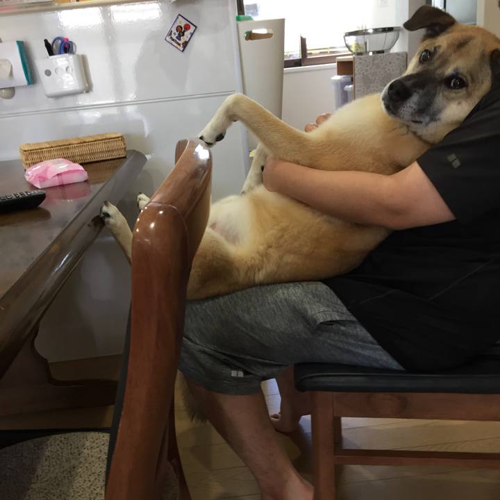 82c304a7 e50c 4a10 8caa 47125e90d24d