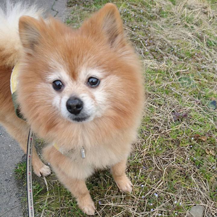 82c361b4 ec2c 4992 9fb5 2c9fde5f70a6