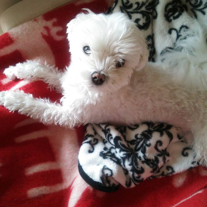 82c3b478 f128 491e a4cc b27ad38e3f6f