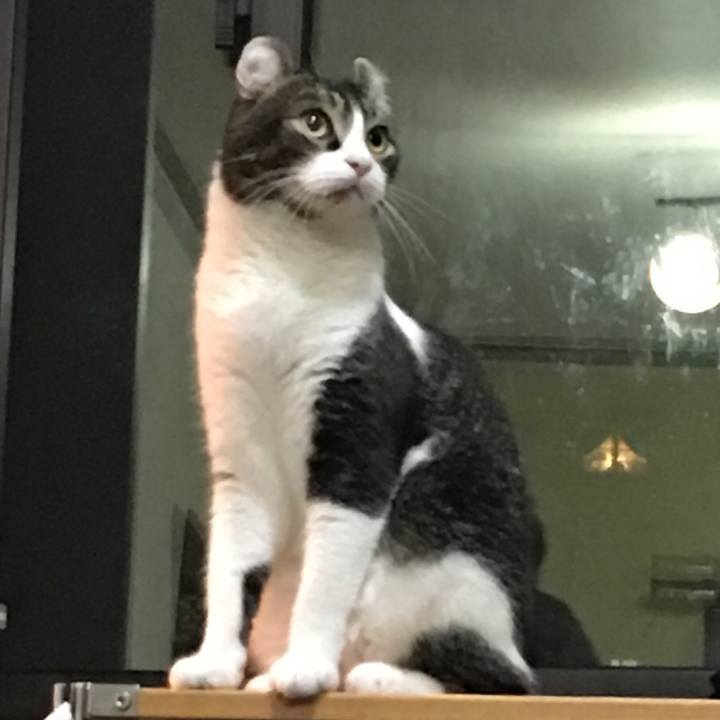 82c3eb7f a5af 4f36 bd3b 7eff25986d1e