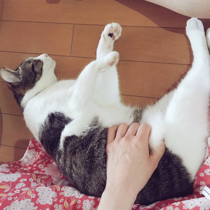 82c4492e d4d2 4447 9c89 d9768a8c6772