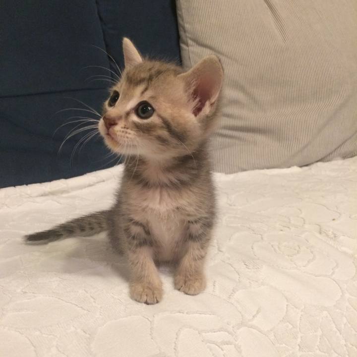 82c4ab5d c0f7 48e7 9771 42bb24d78d01