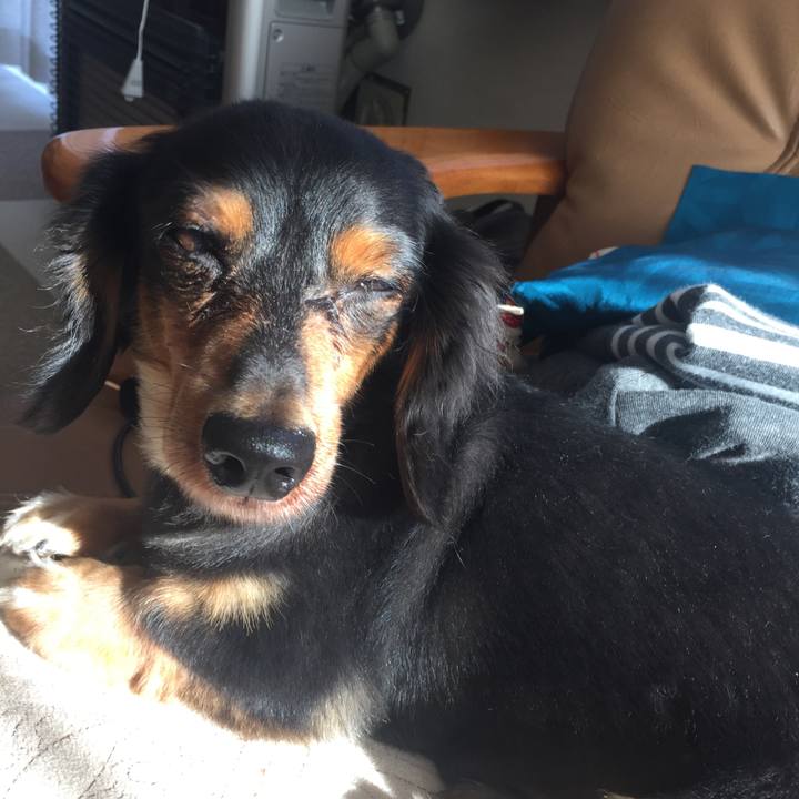 82c50c03 69e3 40c3 a275 2aae5877e047