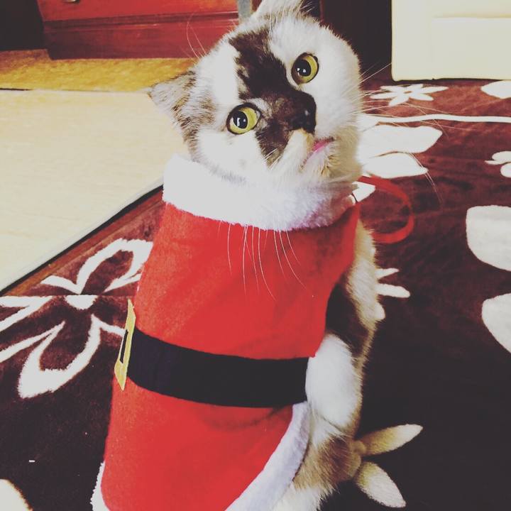 82c535af 8ef9 4110 ae72 11494f9cfa39