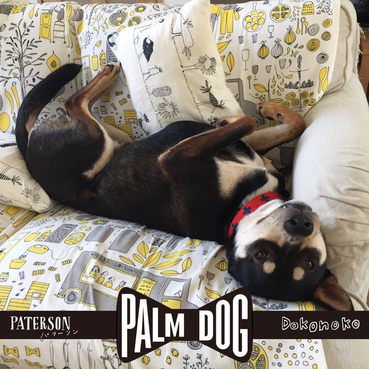 82c5445f 46da 43cc baac 47ecc26f8297