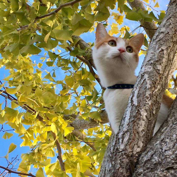 82c54fef ea2b 4ae8 8ba9 97de72f0b245