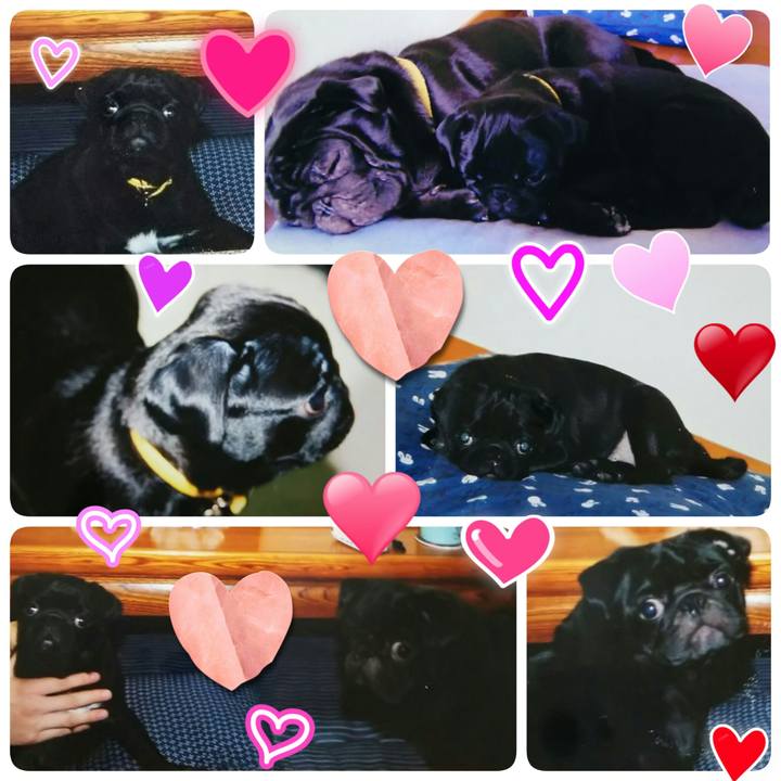 82c638fc aab7 4fbb 9406 6f95e5377ec0