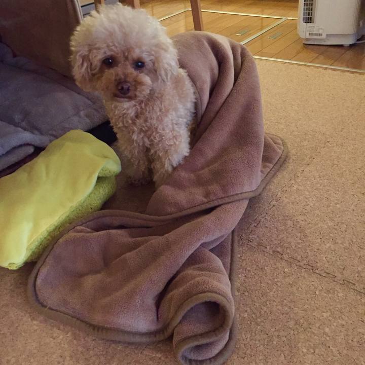 82c640a9 788e 4f1c 99a0 c1b923bb0214