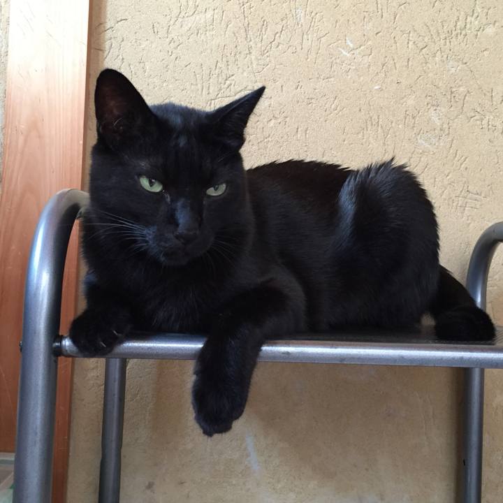 82c6c873 343b 4224 bbcb e9e57a54eef4