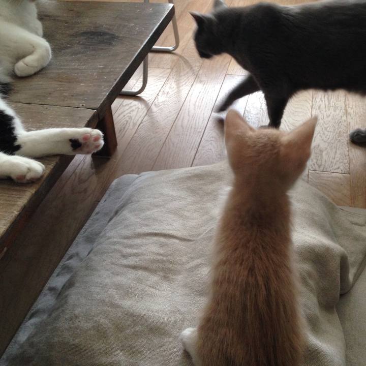 82c6e756 e8f0 4385 a7c9 ab9345807b0c