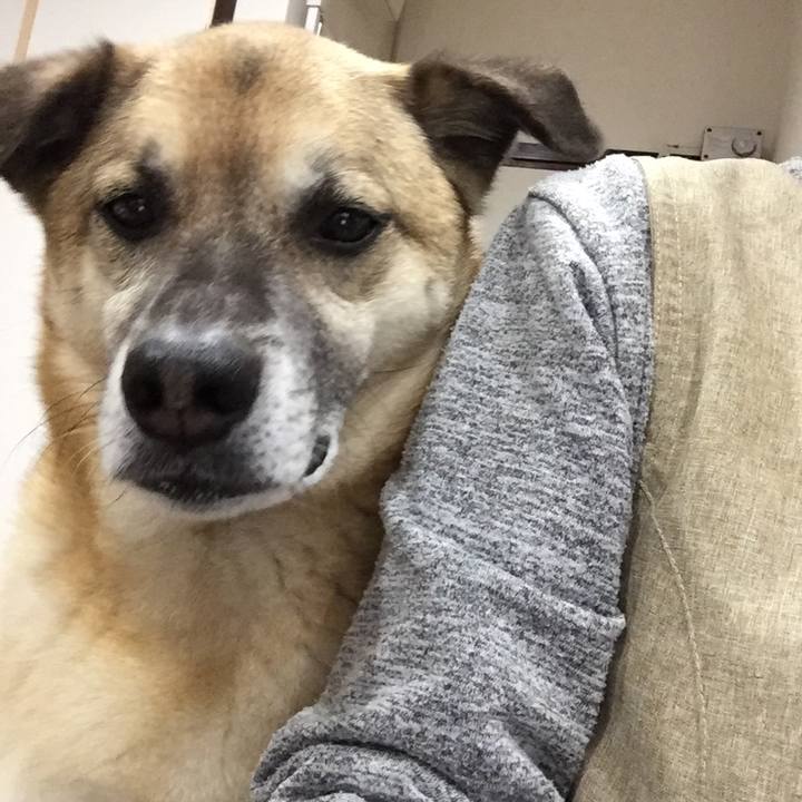 82c711b7 2703 4248 90d9 5bf352781417