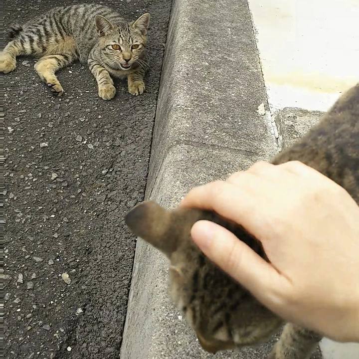 82c71748 0337 4413 9d22 e9318f99b2bf