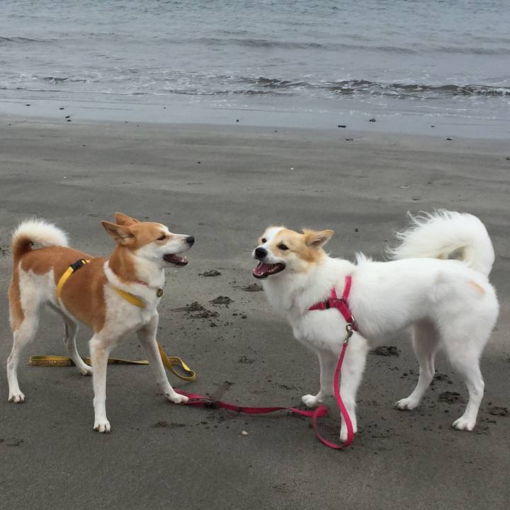 82c7d373 1258 4240 a7b8 010e89277d19