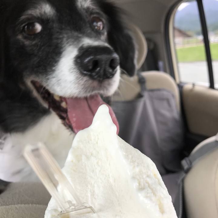 82c87980 50b3 4f25 87e9 c3f6f3f61782