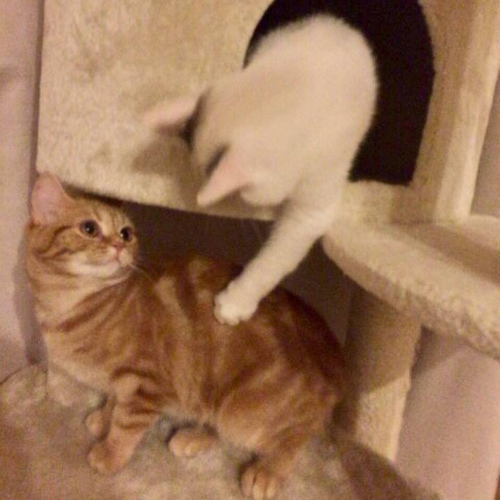 82c8921a 245f 4f25 913e 3da265939699