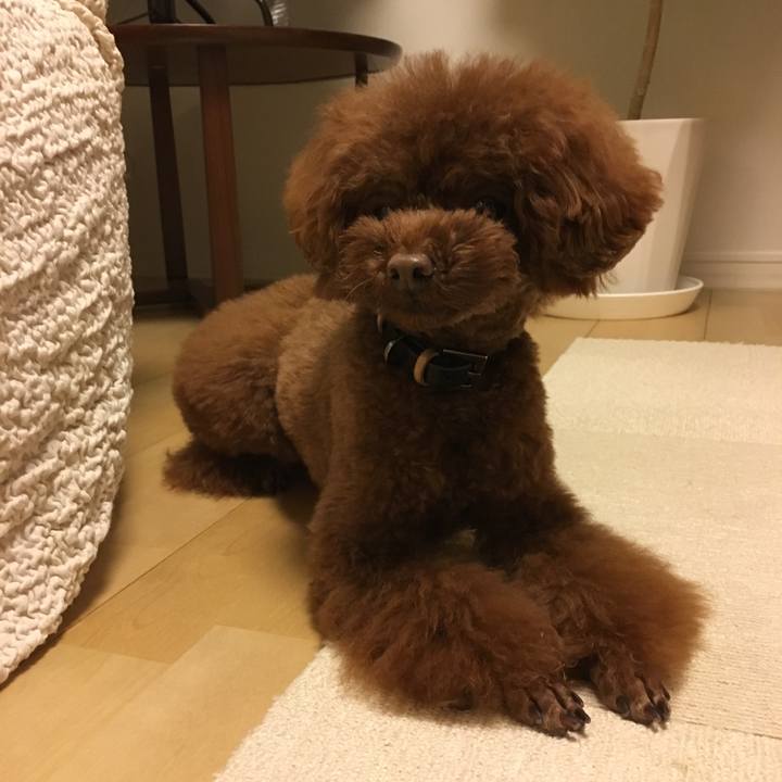 82c89787 2efe 42e4 af6a 6919de0e4c0d